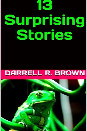 13 Surprising Stories (The Collected Works of Darrell R. Brown) poster