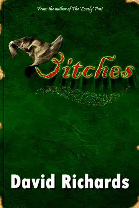 Bitches poster
