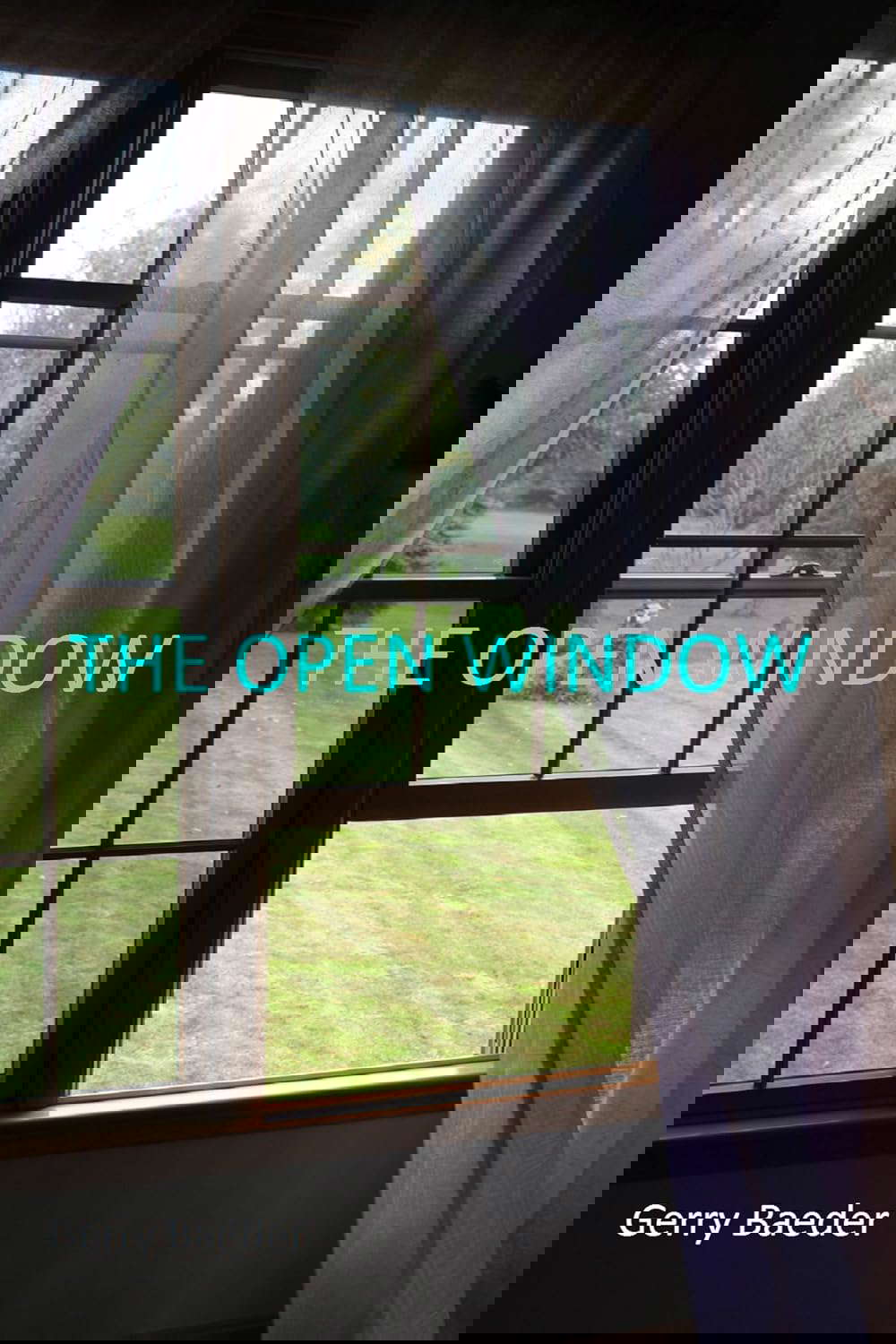 The Open Window poster