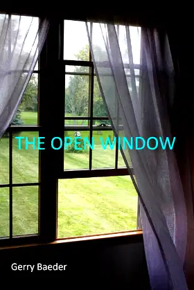 The Open Window poster