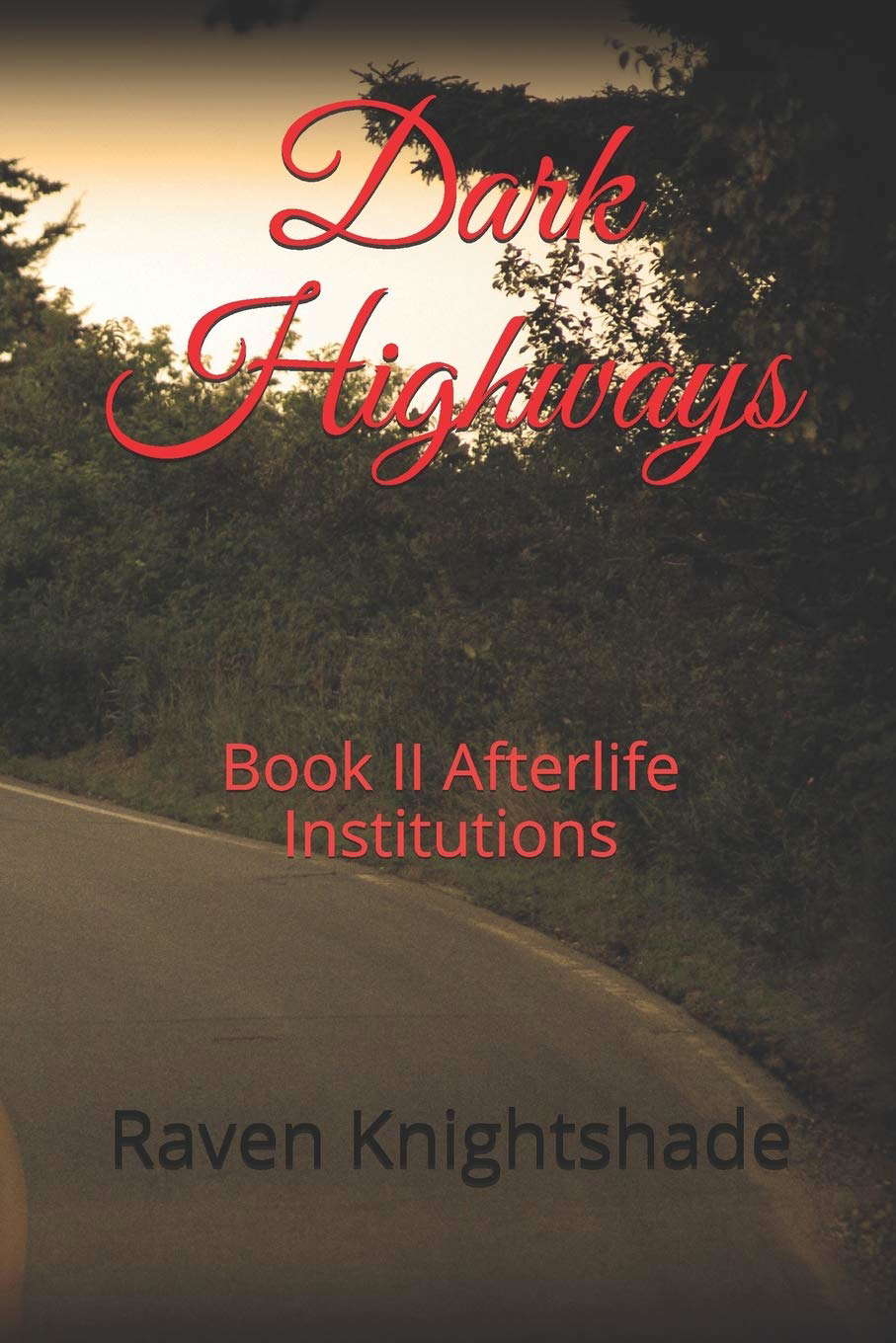 Dark Highways: Book II Afterlife Institutions poster