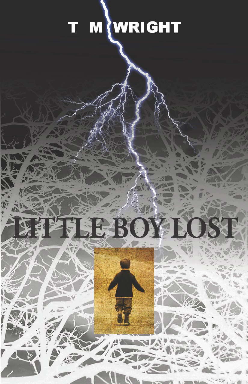 LITTLE BOY LOST poster