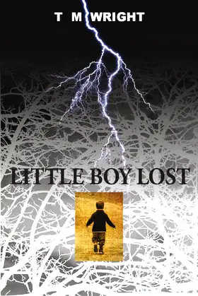 LITTLE BOY LOST poster