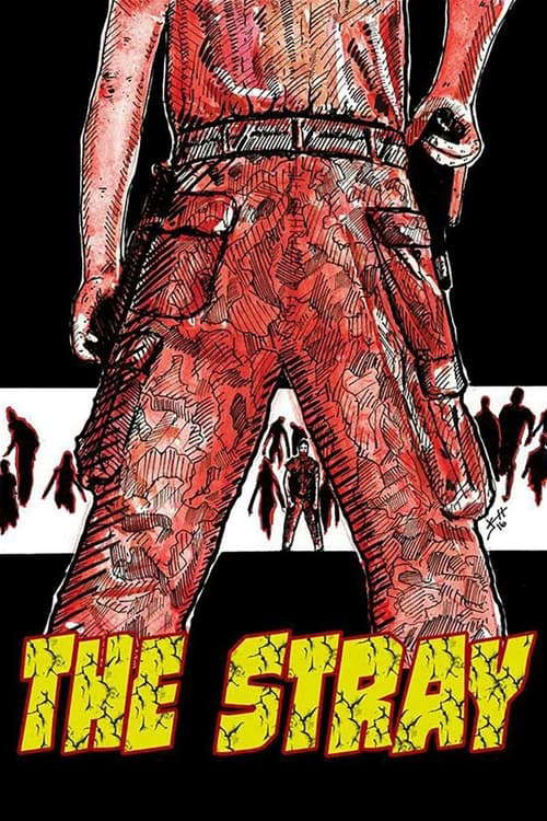 The Stray poster