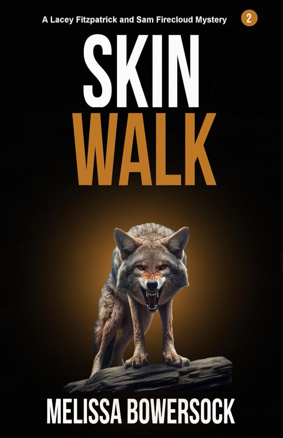 Skin Walk (A Lacey Fitzpatrick and Sam Firecloud Mystery) poster