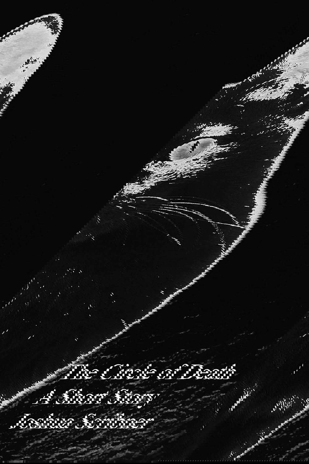 The Circle of Death: A Short Story (Scribner Short Reads) poster