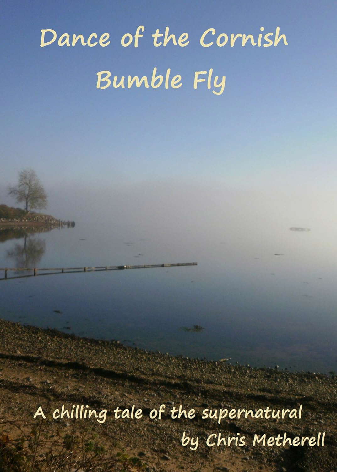 Dance of the Cornish Bumble Fly poster