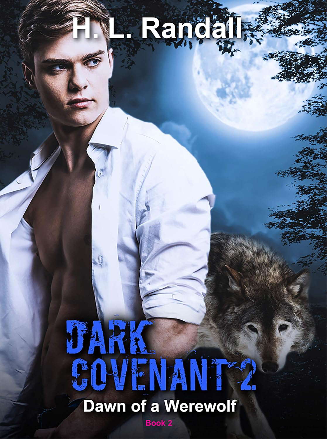 Dark Covenant'2: Dawn of a Werewolf poster
