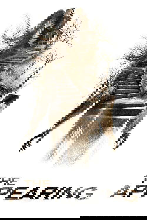 The Appearing poster