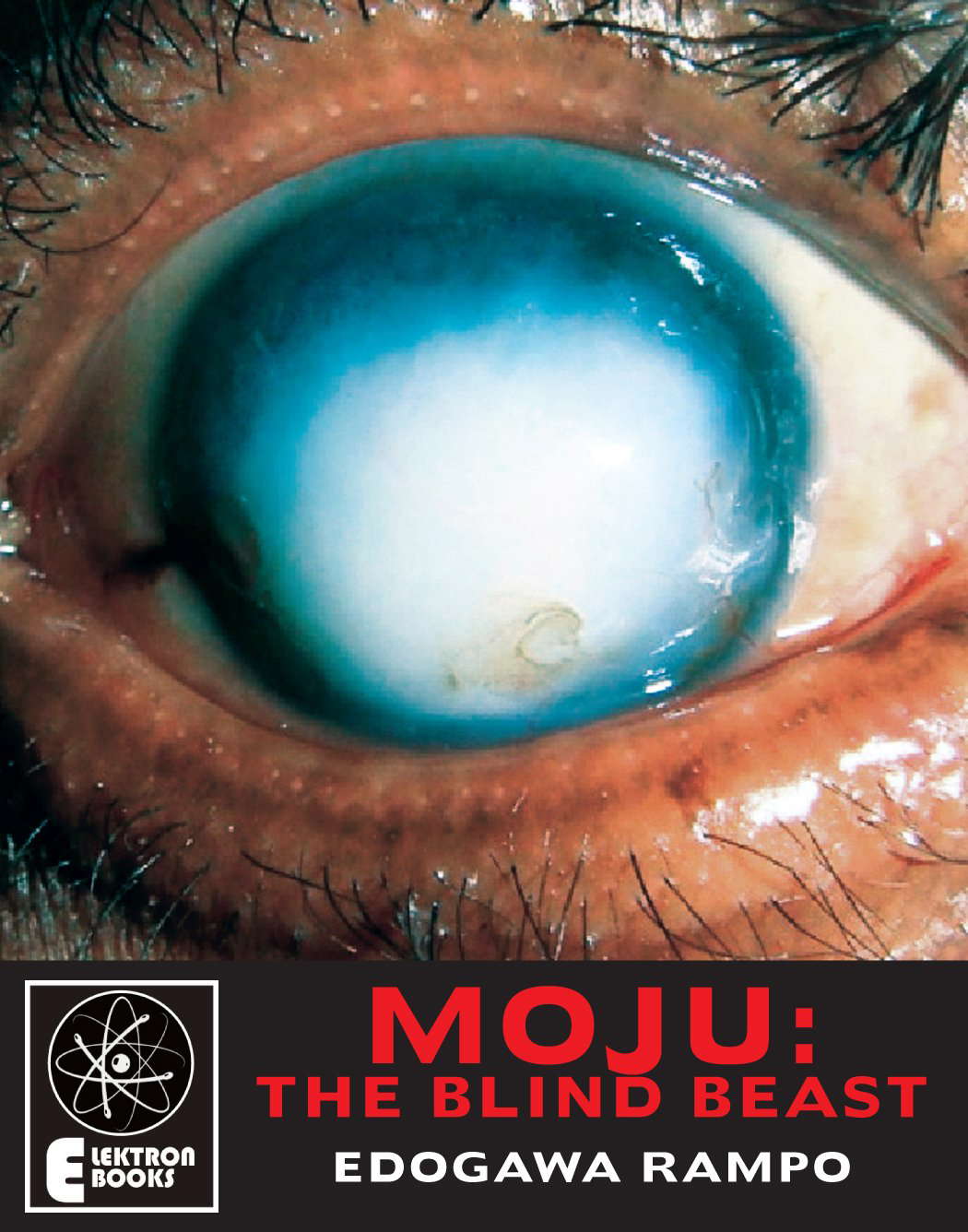 Moju: The Blind Beast poster