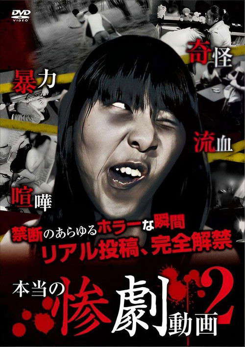Real Tragedy Video 2 poster