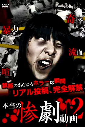 Real Tragedy Video 2 poster