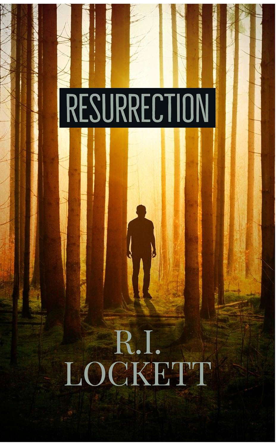 Resurrection: A Supernatural Downfall poster