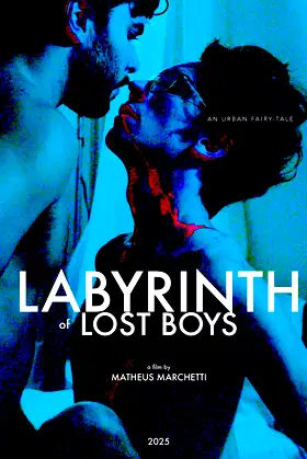 Labyrinth of Lost Boys poster