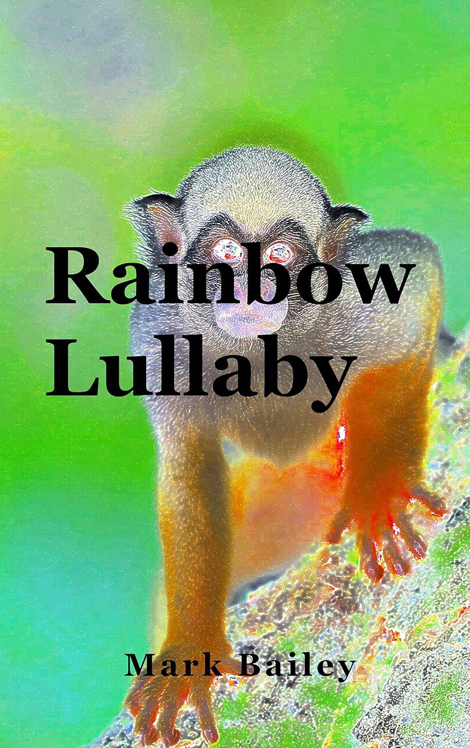 Rainbow Lullaby poster