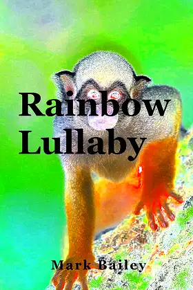 Rainbow Lullaby poster