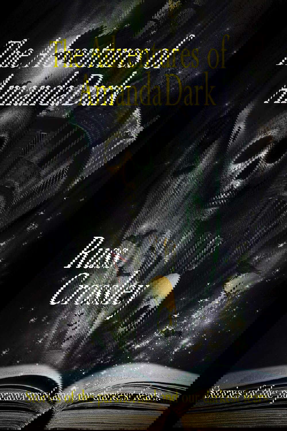 The Adventures of Amanda Dark poster