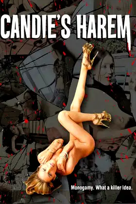 Candie's Harem poster