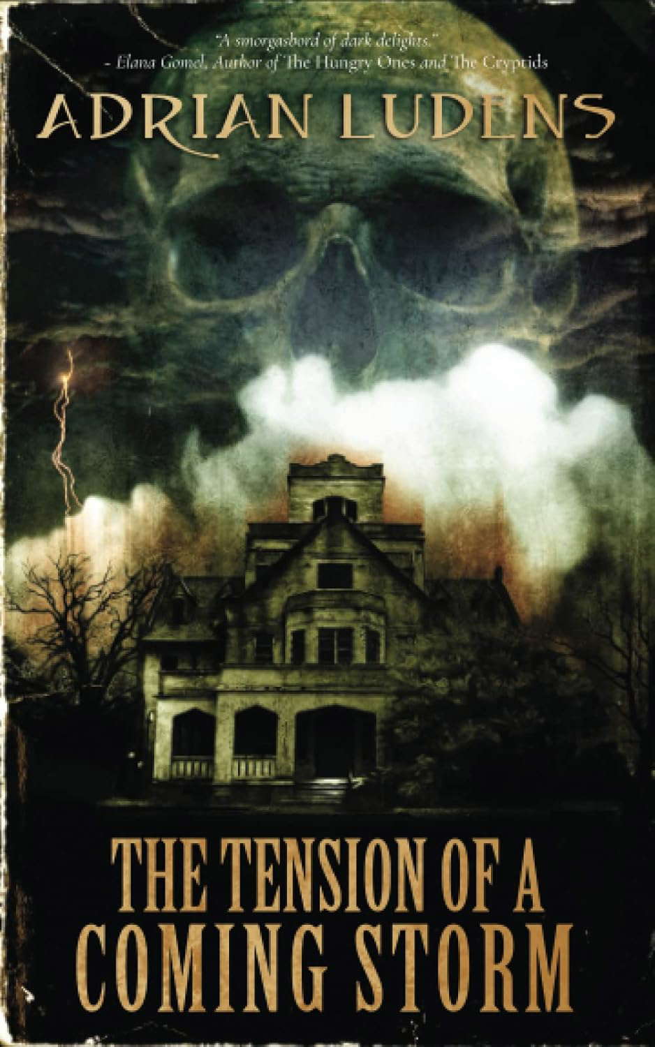 The Tension of a Coming Storm poster