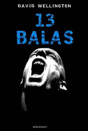 13 balas poster