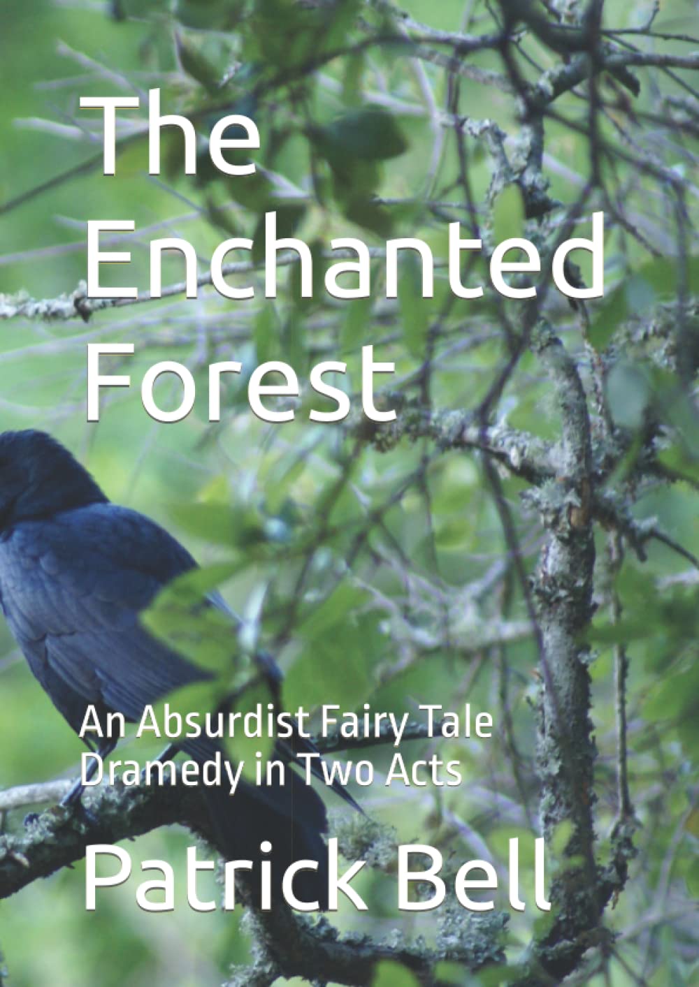 The Enchanted Forest: An Absurdist Fairy Tale Dramedy in Two Acts poster