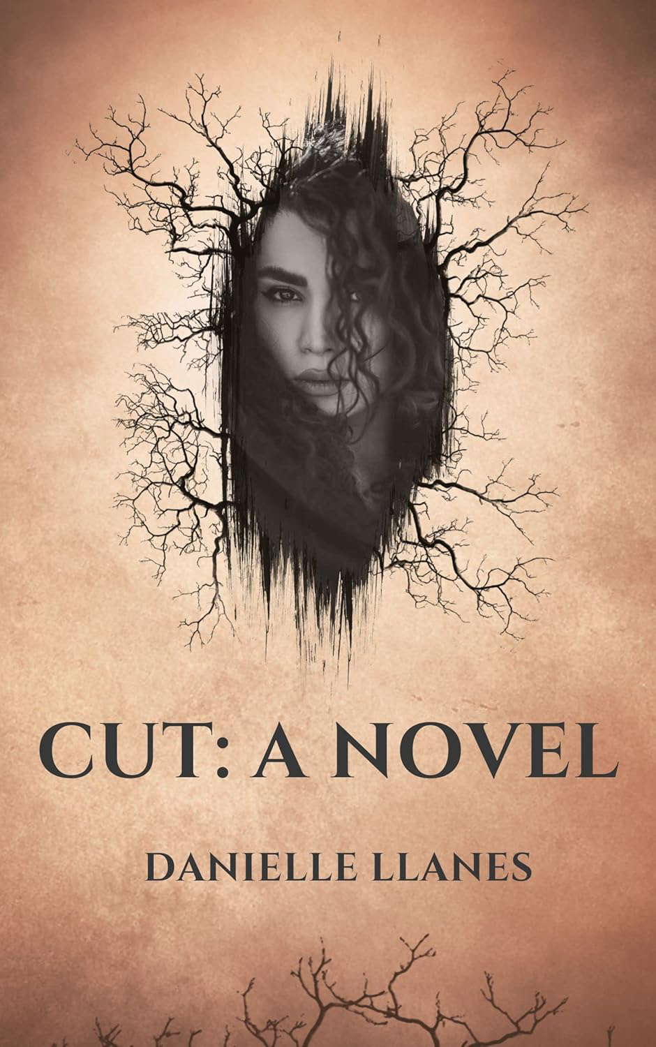 cut: a novel poster