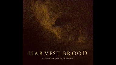 HARVEST BROOD - Trailer poster