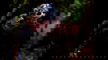 episode poster