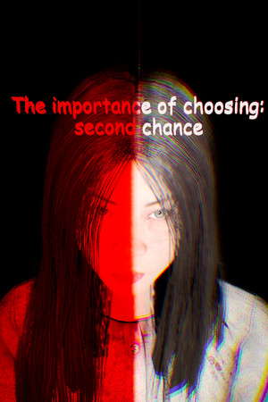 The importance of choosing: second chance poster