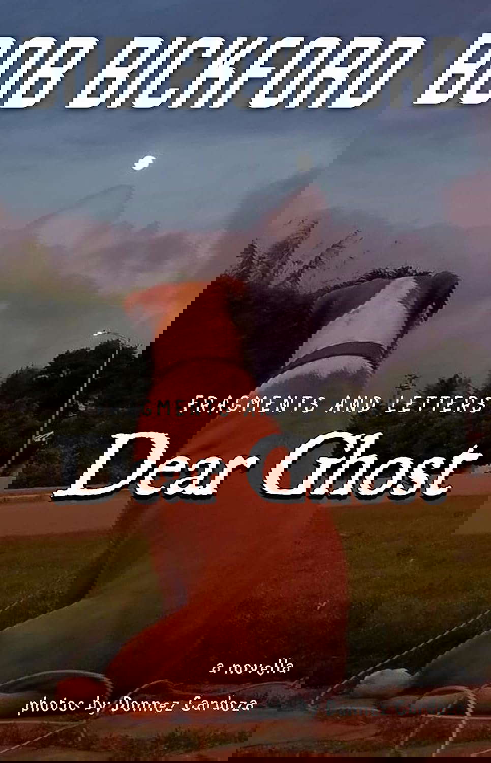Dear Ghost: Fragments and Letters poster