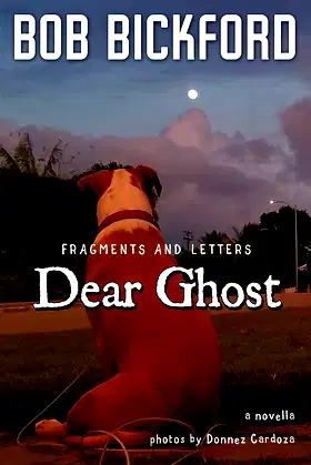 Dear Ghost: Fragments and Letters poster