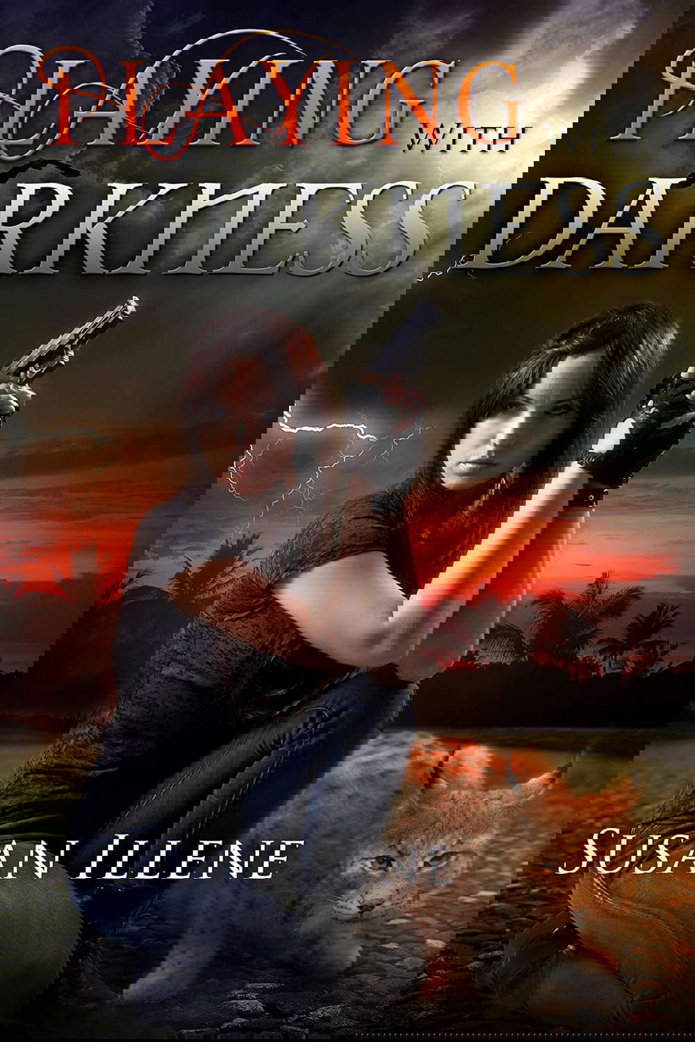 Playing with Darkness: Book 3.5 (Sensor Series 7) poster