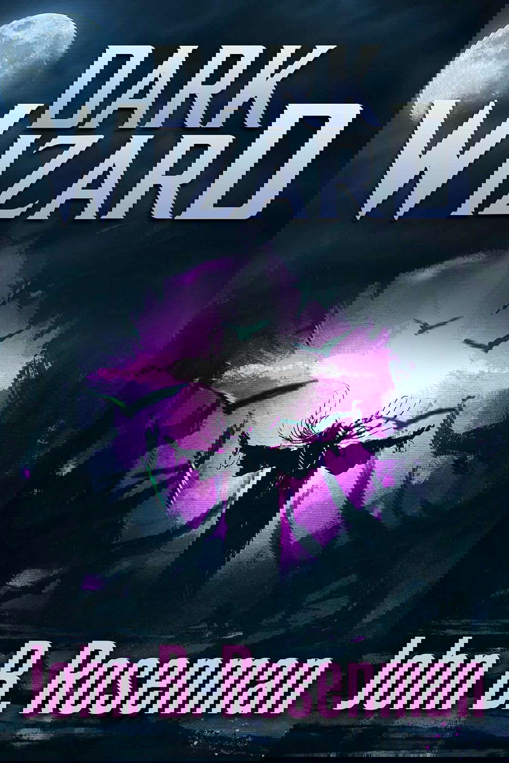 Dark Wizard poster