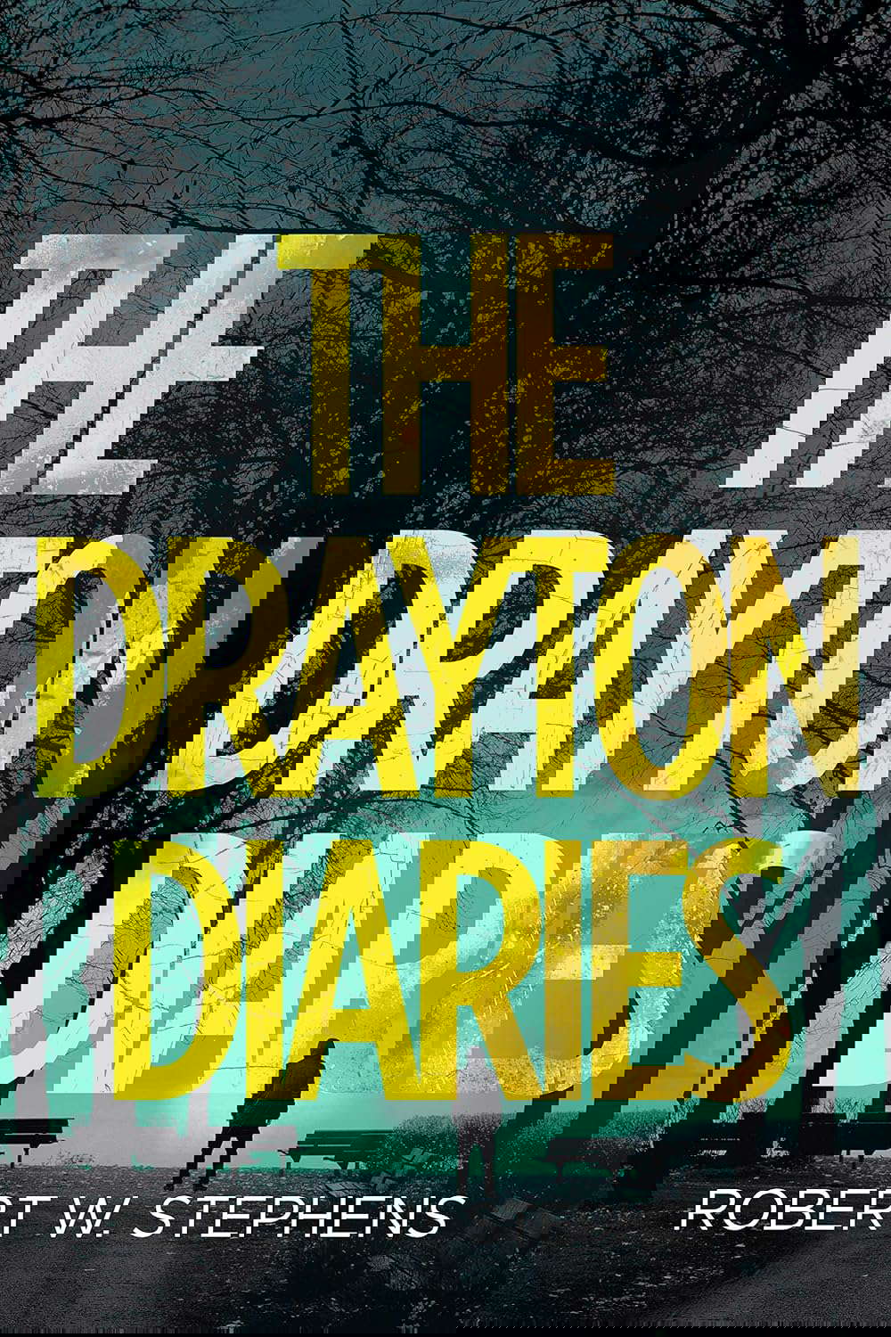 The Drayton Diaries: A Supernatural Thriller poster