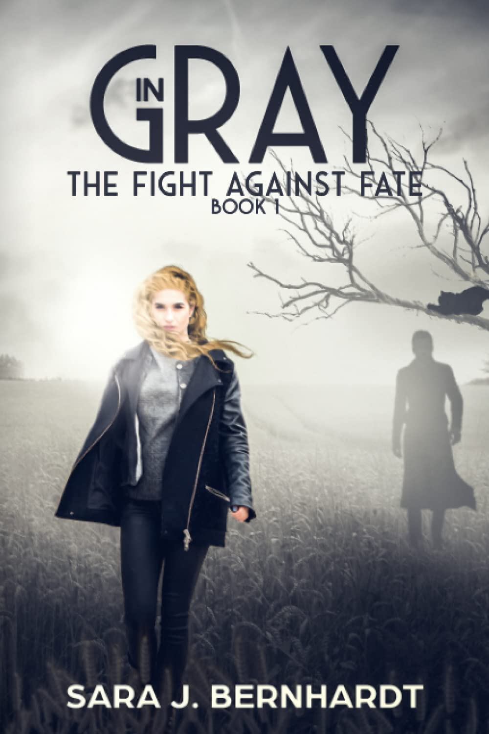 In Gray (The Fight Against Fate) poster