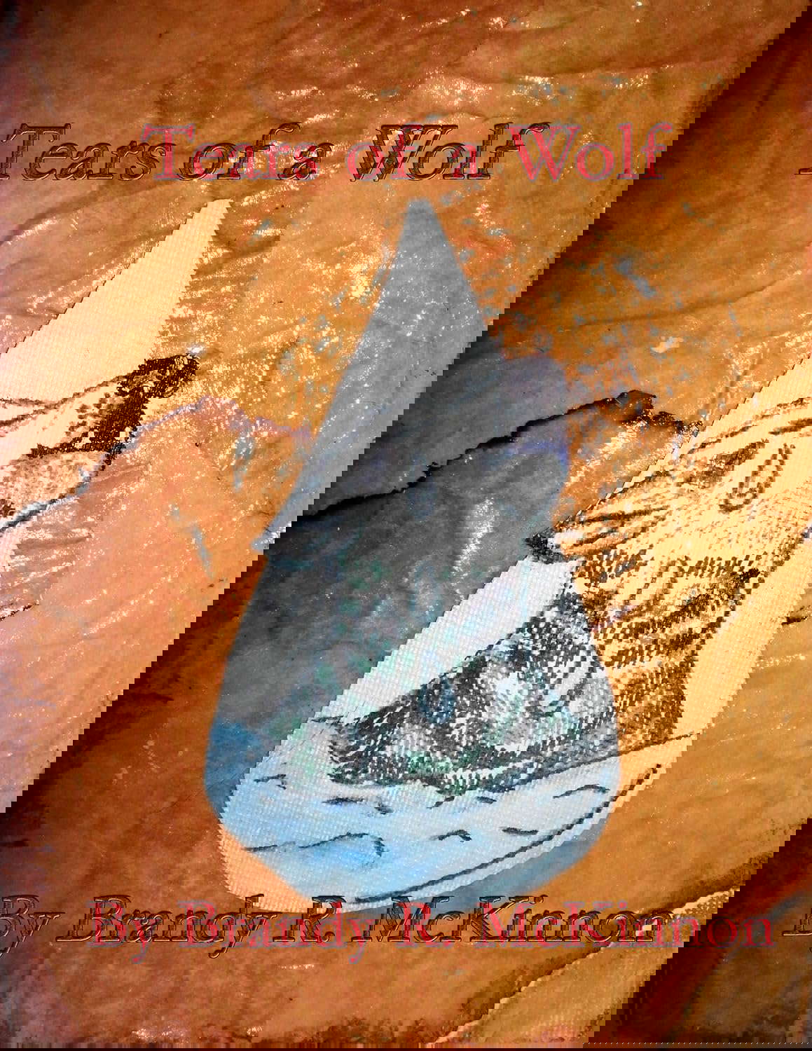 Tears of a Wolf poster