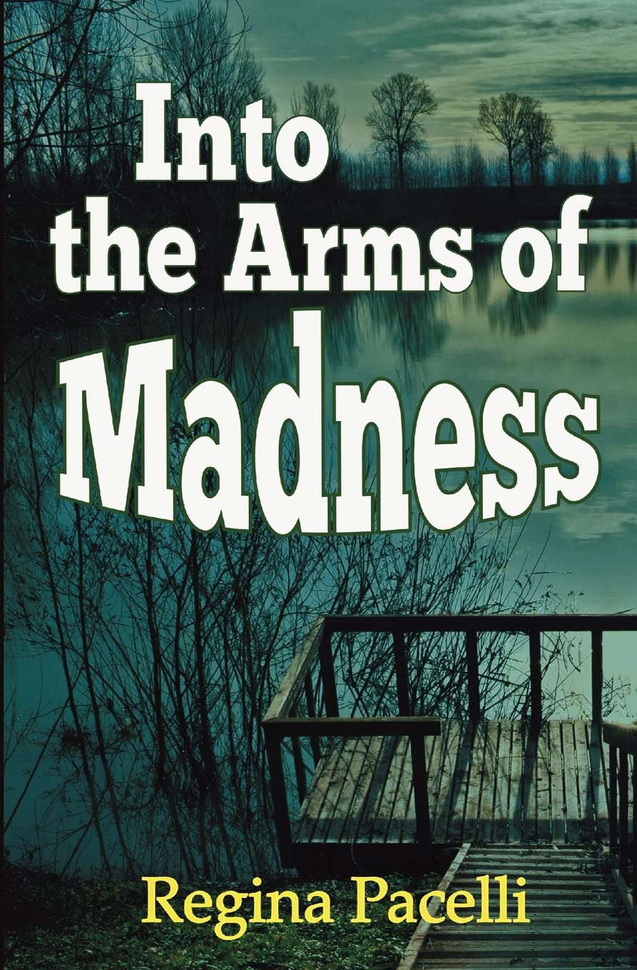 Into the Arms of Madness: A Novel of Suspense poster