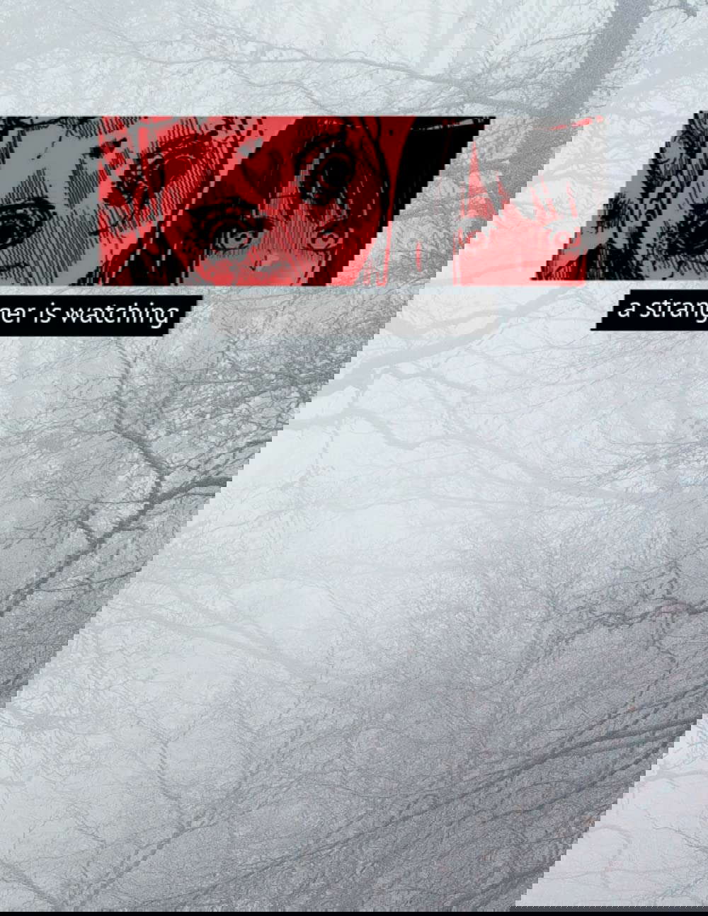 A stranger is watching (notebook): "8,5" x "11" Inches / 120 pages poster