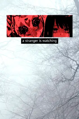 A stranger is watching (notebook): "8,5" x "11" Inches / 120 pages poster