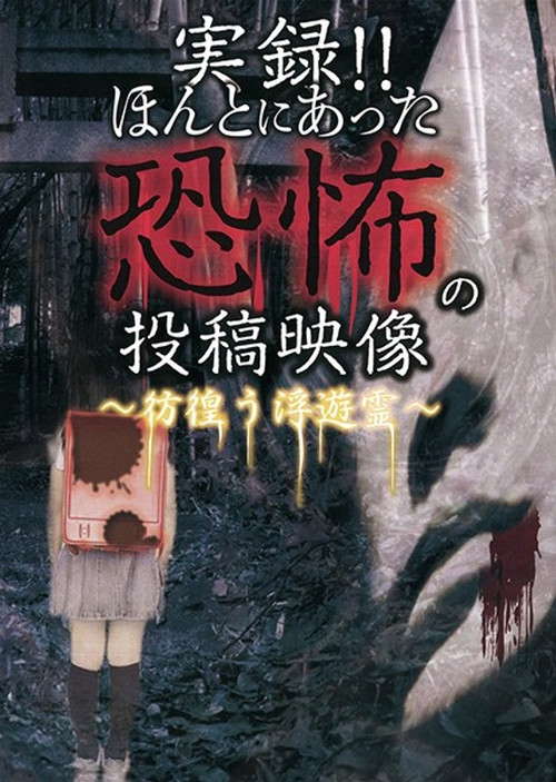 Actual Record! Real Horror Posted Video: Wandering Floating Spirits poster