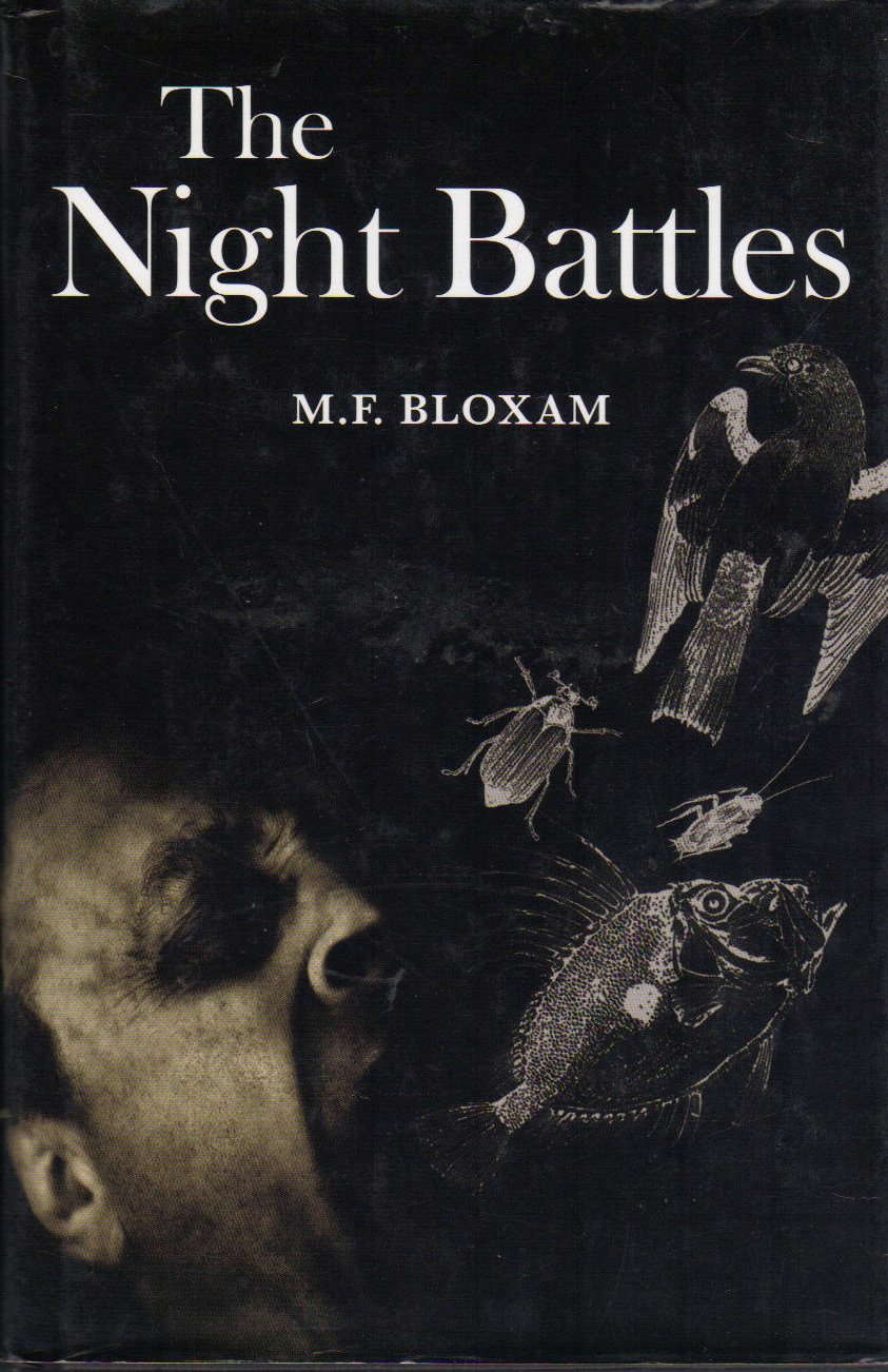 The Night Battles poster