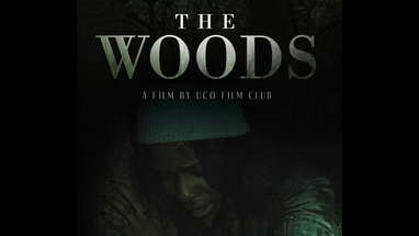 "The Woods"- Found Footage Short Film poster