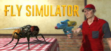 Fly Simulator capsule