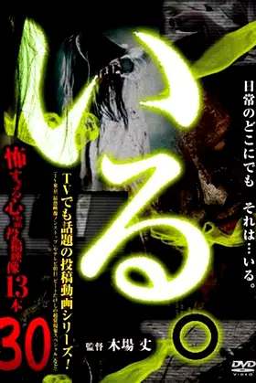 「Iru.」~ Kowasugiru Tōkō Eizō 13-hon ~ Vol.30 poster