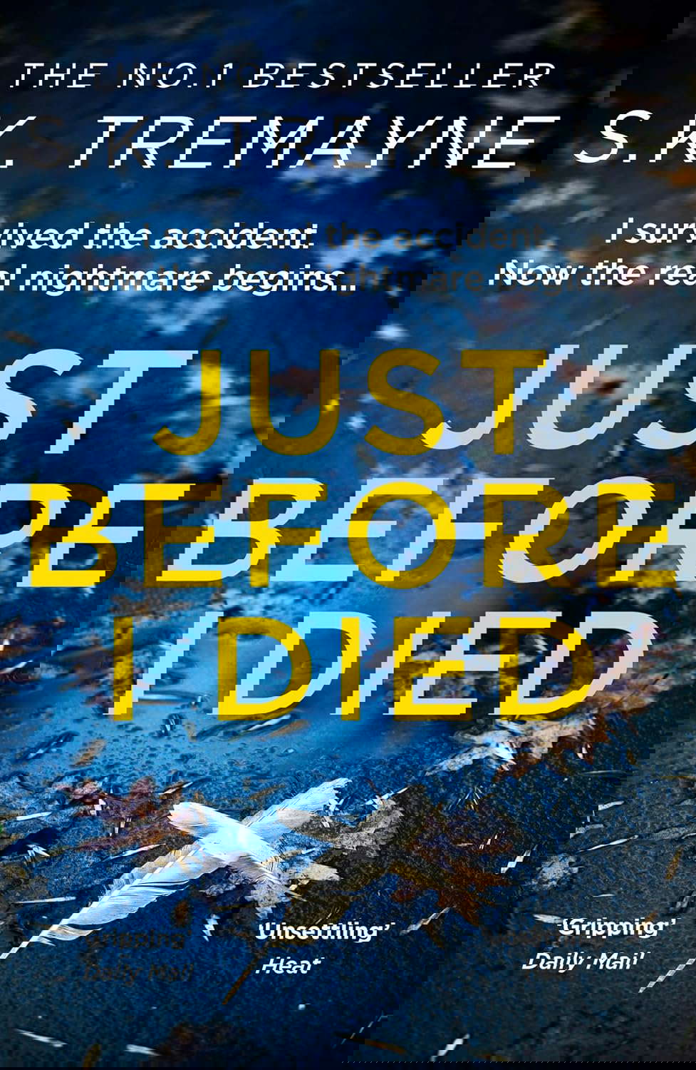 Just Before I Died poster