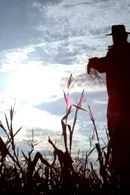 Scarecrow poster