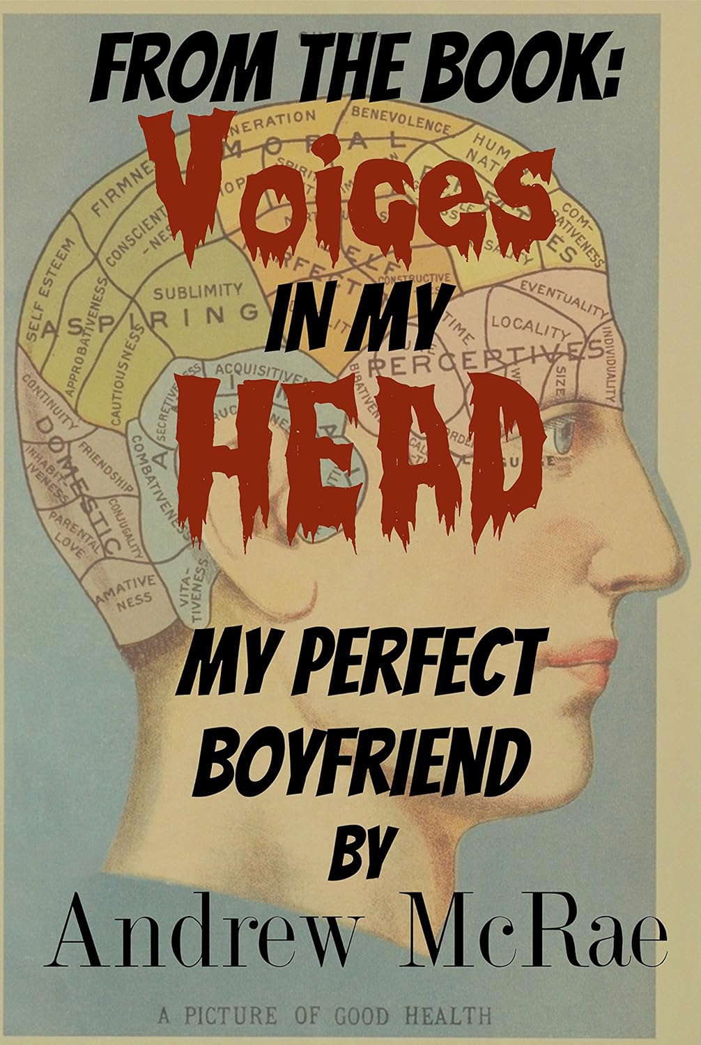 Voices in my Head: My Perfect Boyfriend poster