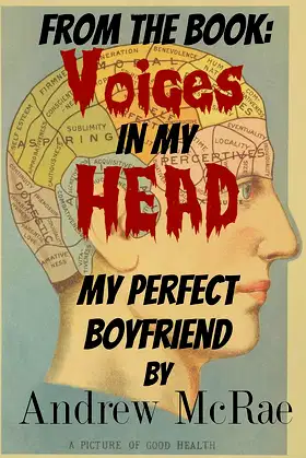 Voices in my Head: My Perfect Boyfriend poster