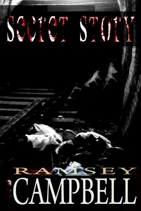 Secret Story poster
