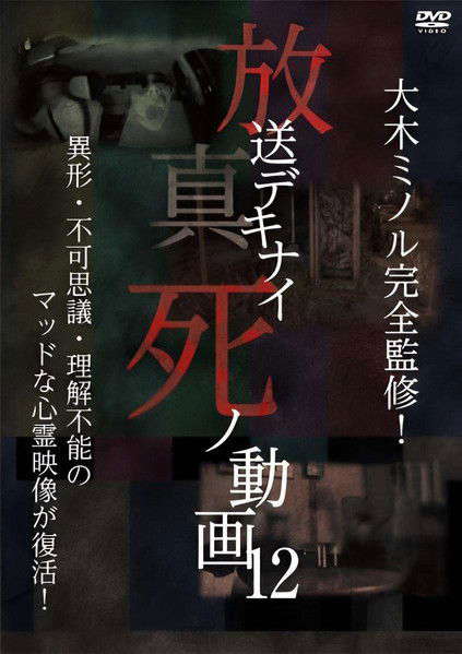 Hoso Dekinai Shi no Doga 12 poster